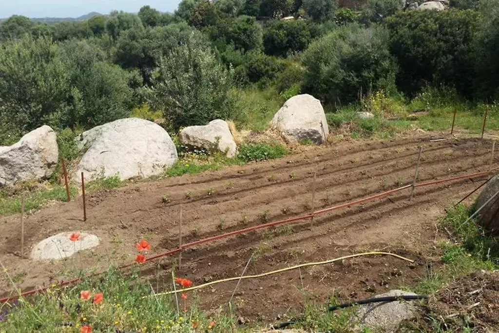 Stazzu Martina Villa Trinita d'Agultu e Vignola Italy