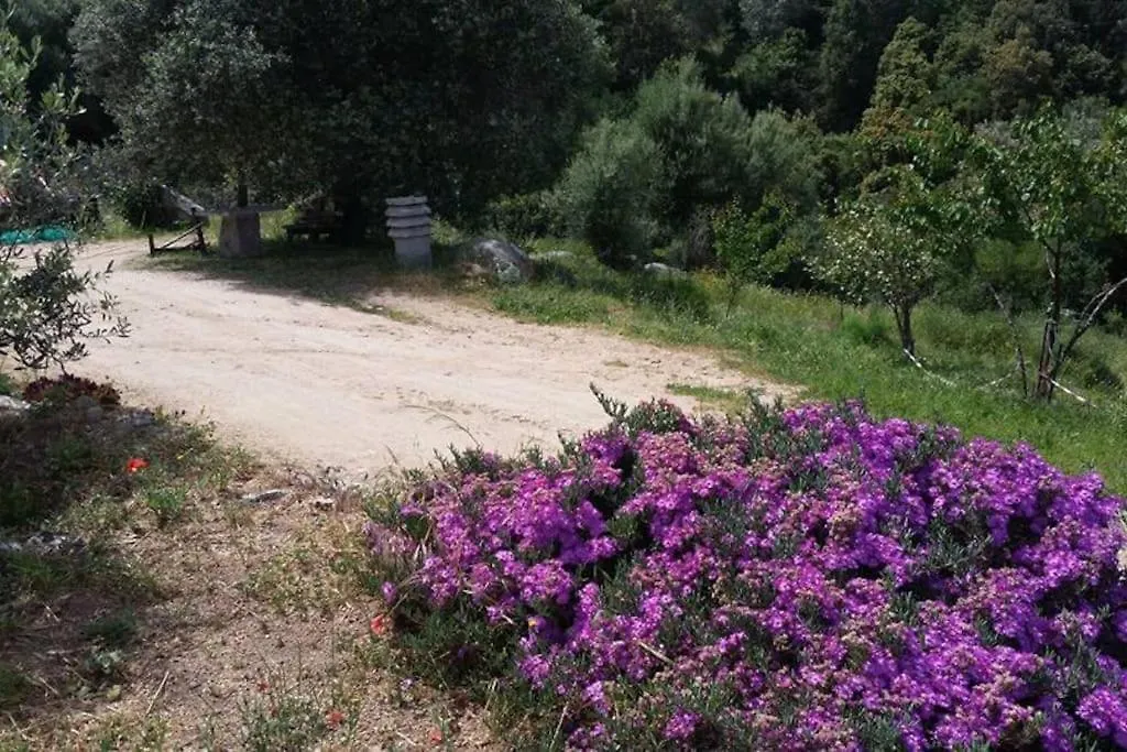 Holiday home Stazzu Martina Villa Trinita d'Agultu e Vignola